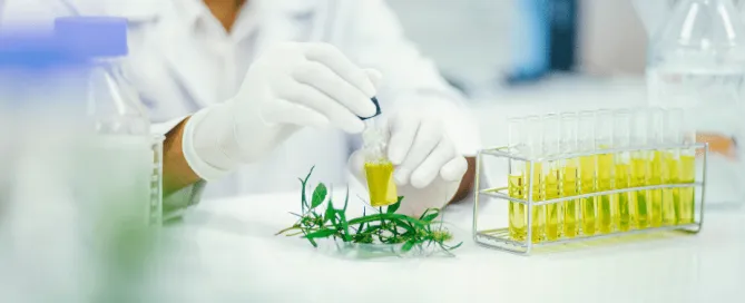 橄欖油的食安，有一大部分是靠著第三方實驗室的公正檢測報告，來去維護品質跟食安。